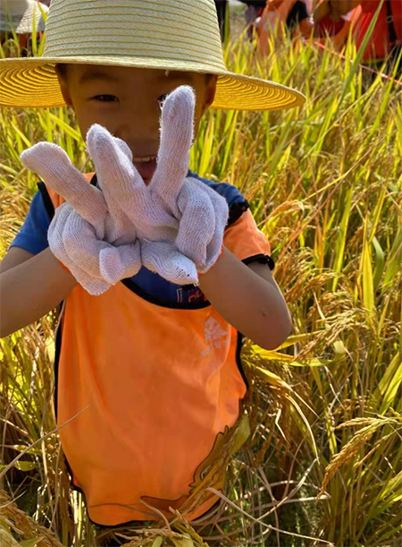 【周末独立营】你好，稻草人！保卫粮食，人人有责