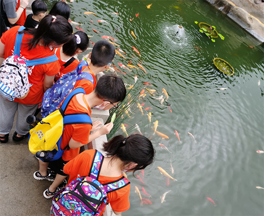 游鼓浪屿，享大感悟——快乐学习动力营厦门站第三天