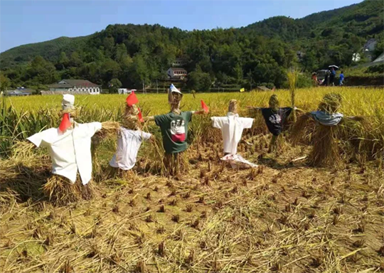 【周末独立营】你好，稻草人！保卫粮食，人人有责