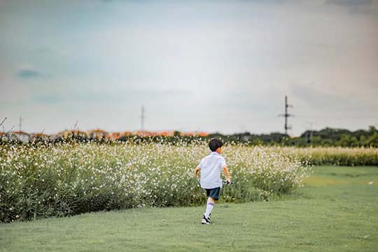 如何唤醒孩子学习的内驱力？这几种方法简单又管用