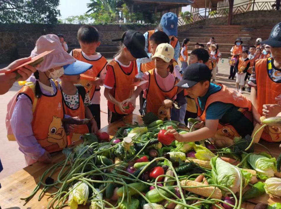 晋小鹰手拉手成长营带孩子体验不一样的人生! 晋小鹰手拉手成长营带孩子体验不一样的人生!